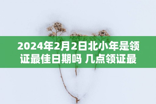 2025年2月2日北小年是领证最佳日期吗 几点领证最吉利
