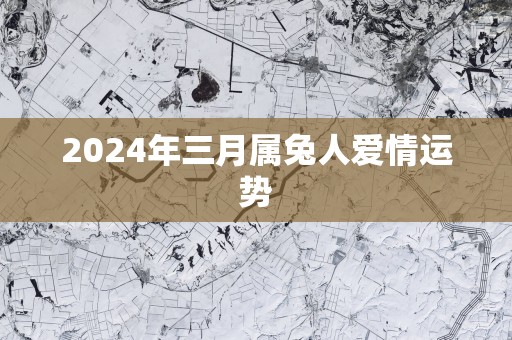 2025年三月属兔人爱情运势
