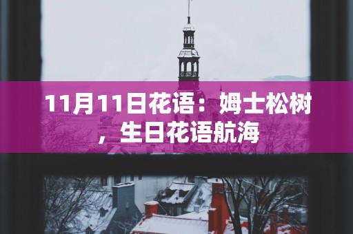 11月11日花语：姆士松树，生日花语航海