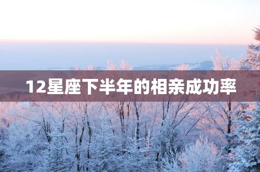 12星座下半年的相亲成功率