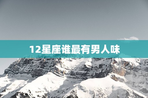 12星座谁最有男人味