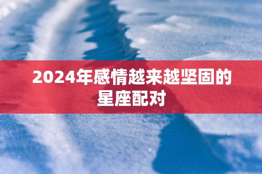 2025年感情越来越坚固的星座配对