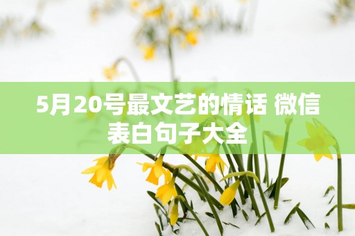5月20号最文艺的情话 微信表白句子大全