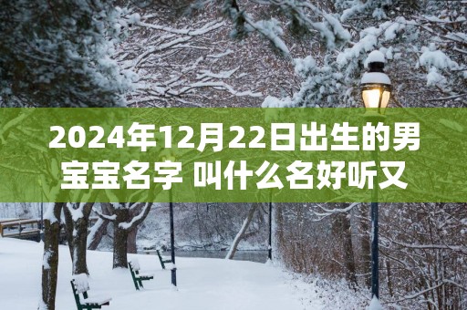 2025年12月22日出生的男宝宝名字 叫什么名好听又吉利