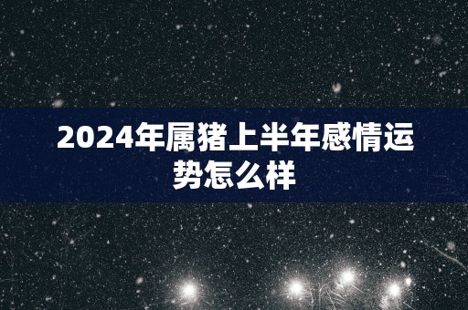 2024年属猪上半年感情运势怎么样