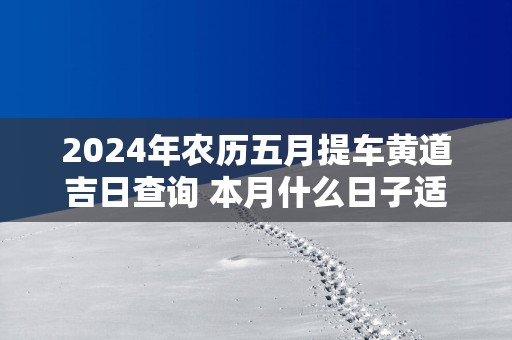 2025年农历五月提车黄道吉日查询 本月什么日子适合买车
