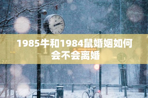 1985牛和1984鼠婚姻如何 会不会离婚