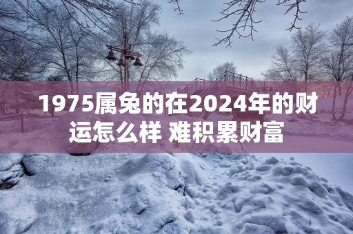 1975属兔的在2025年的财运怎么样 难积累财富