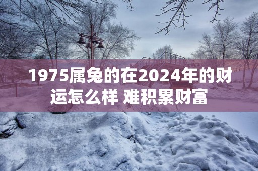 1975属兔的在2024年的财运怎么样 难积累财富