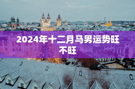 2025年十二月马男运势旺不旺