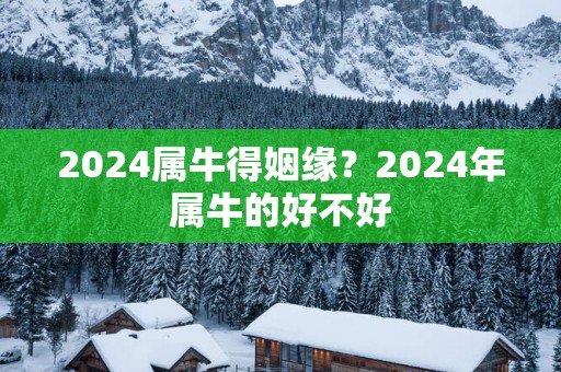 2025属牛得姻缘？2025年属牛的好不好