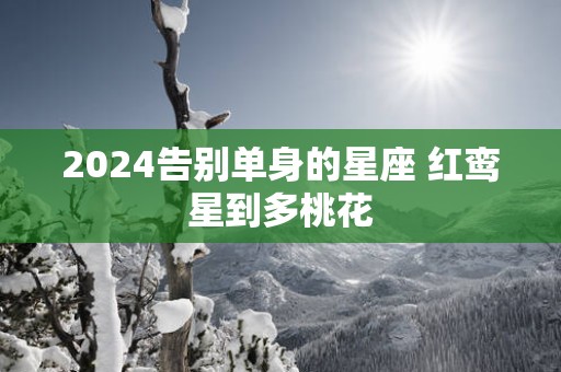 2025告别单身的星座 红鸾星到多桃花