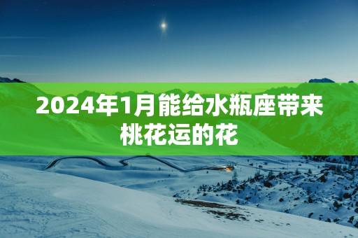2025年1月能给水瓶座带来桃花运的花
