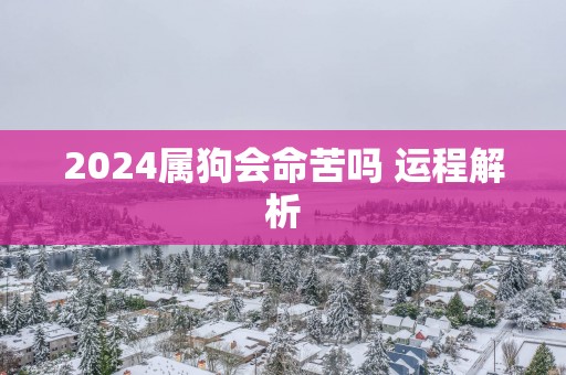 2025属狗会命苦吗 运程解析