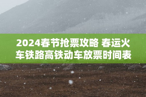 2025春节抢票攻略 春运火车铁路高铁动车放票时间表