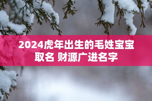 2025蛇年出生的毛姓宝宝取名 财源广进名字