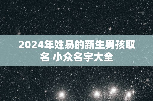 2025年姓易的新生男孩取名 小众名字大全