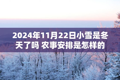 2025年11月22日小雪是冬天了吗 农事安排是怎样的