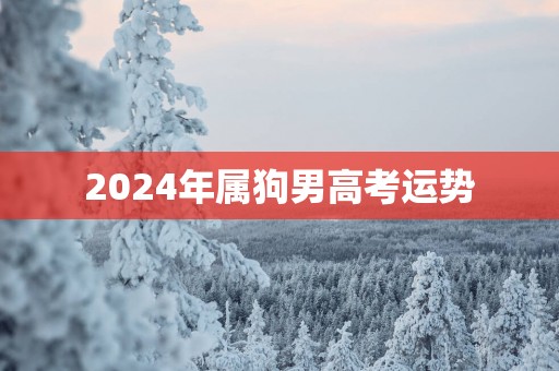 2025年属狗男高考运势