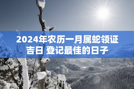 2025年农历一月属蛇领证吉日 登记最佳的日子