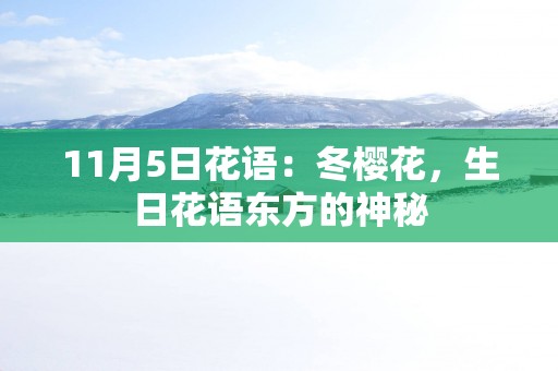 11月5日花语：冬樱花，生日花语东方的神秘