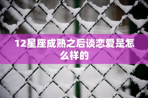 12星座成熟之后谈恋爱是怎么样的