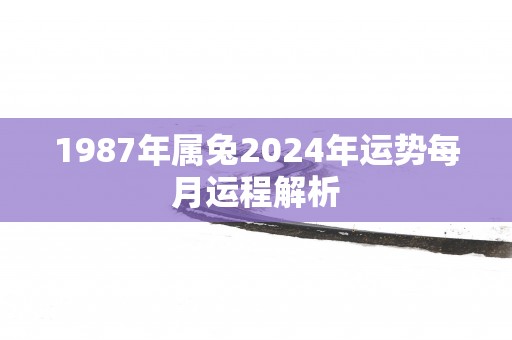 1987年属兔2025年运势每月运程解析