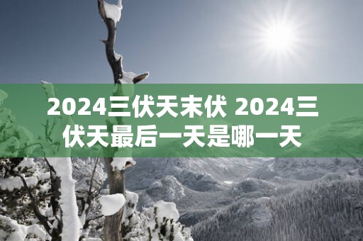 2025三伏天末伏 2025三伏天最后一天是哪一天