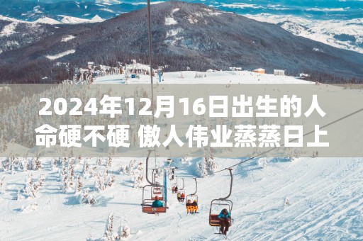 2025年12月16日出生的人命硬不硬 傲人伟业蒸蒸日上