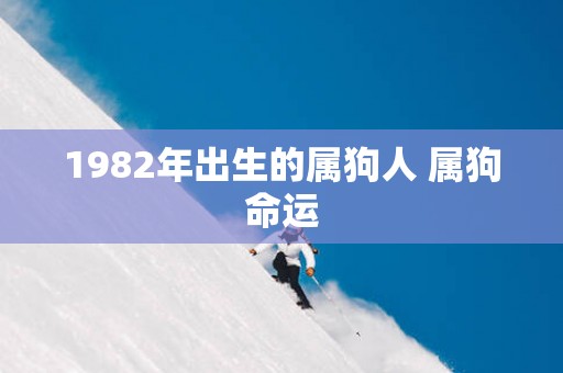 1982年出生的属狗人 属狗命运