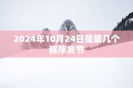 2025年10月24日是第几个程序员节
