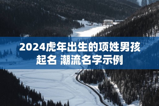 2025蛇年出生的项姓男孩起名 潮流名字示例