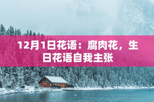 12月1日花语：腐肉花，生日花语自我主张