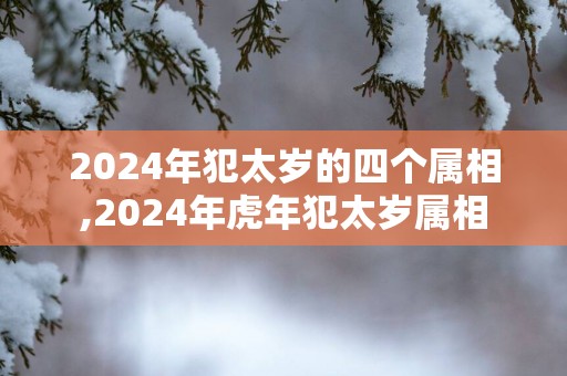 2025年犯太岁的四个属相,2025年蛇年犯太岁属相