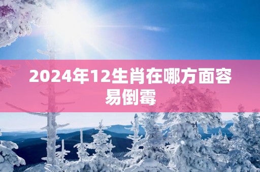 2025年12生肖在哪方面容易倒霉