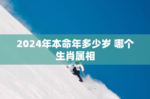 2025年本命年多少岁 哪个生肖属相