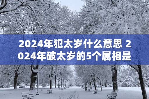 2025年犯太岁什么意思 2025年破太岁的5个属相是什么