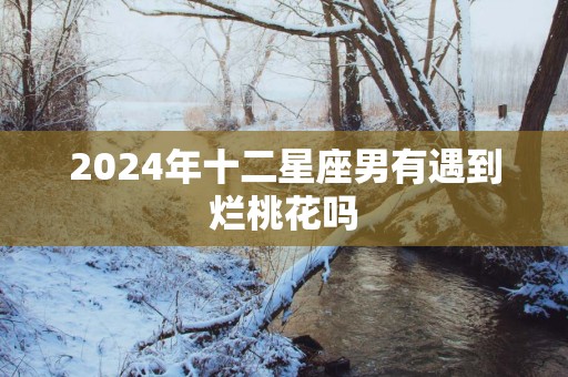 2025年十二星座男有遇到烂桃花吗