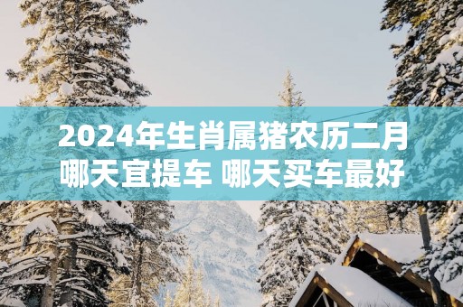 2025年生肖属猪农历二月哪天宜提车 哪天买车最好