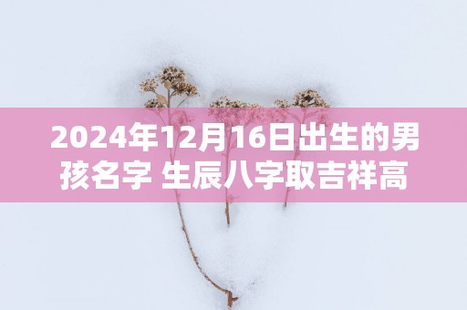 2025年12月16日出生的男孩名字 生辰八字取吉祥高分好名