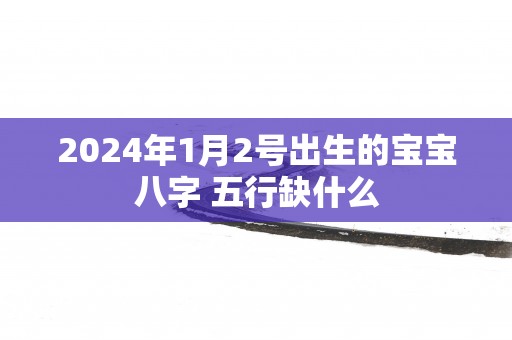 2025年1月2号出生的宝宝八字 五行缺什么