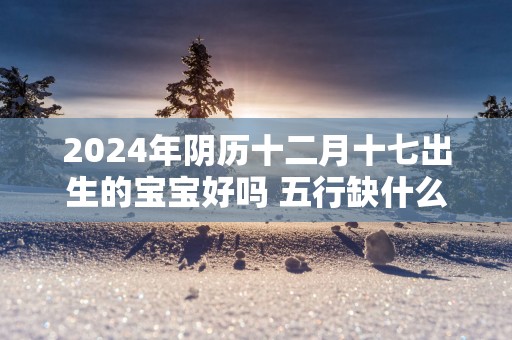 2025年阴历十二月十七出生的宝宝好吗 五行缺什么