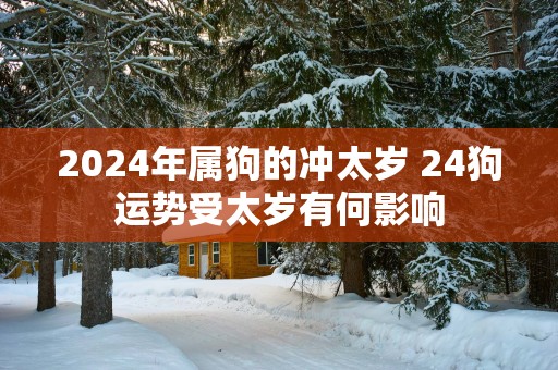2025年属狗的冲太岁 24狗运势受太岁有何影响