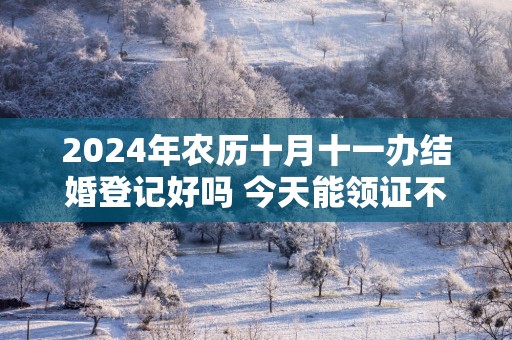 2025年农历十月十一办结婚登记好吗 今天能领证不