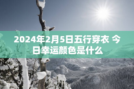 2025年2月5日五行穿衣 今日幸运颜色是什么