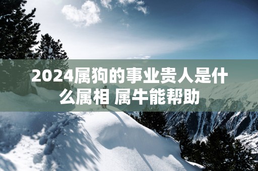 2025属狗的事业贵人是什么属相 属牛能帮助