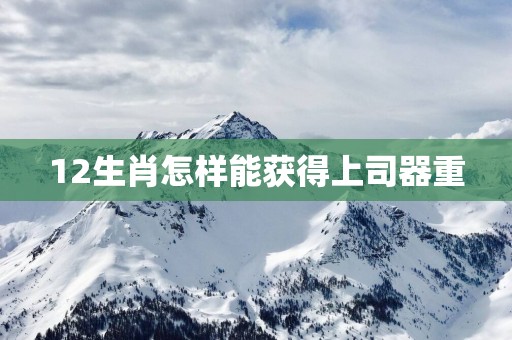 12生肖怎样能获得上司器重