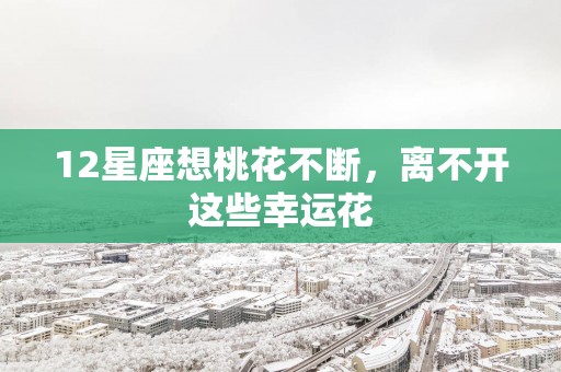 12星座想桃花不断，离不开这些幸运花