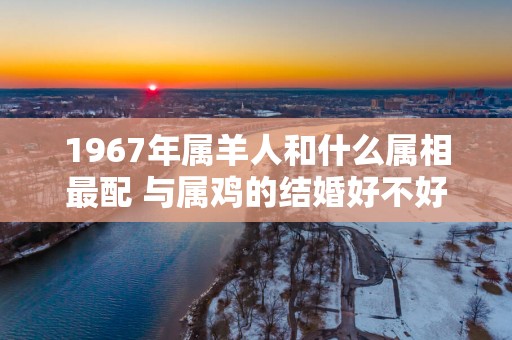 1967年属羊人和什么属相最配 与属鸡的结婚好不好