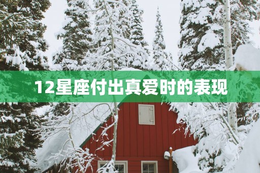 12星座付出真爱时的表现